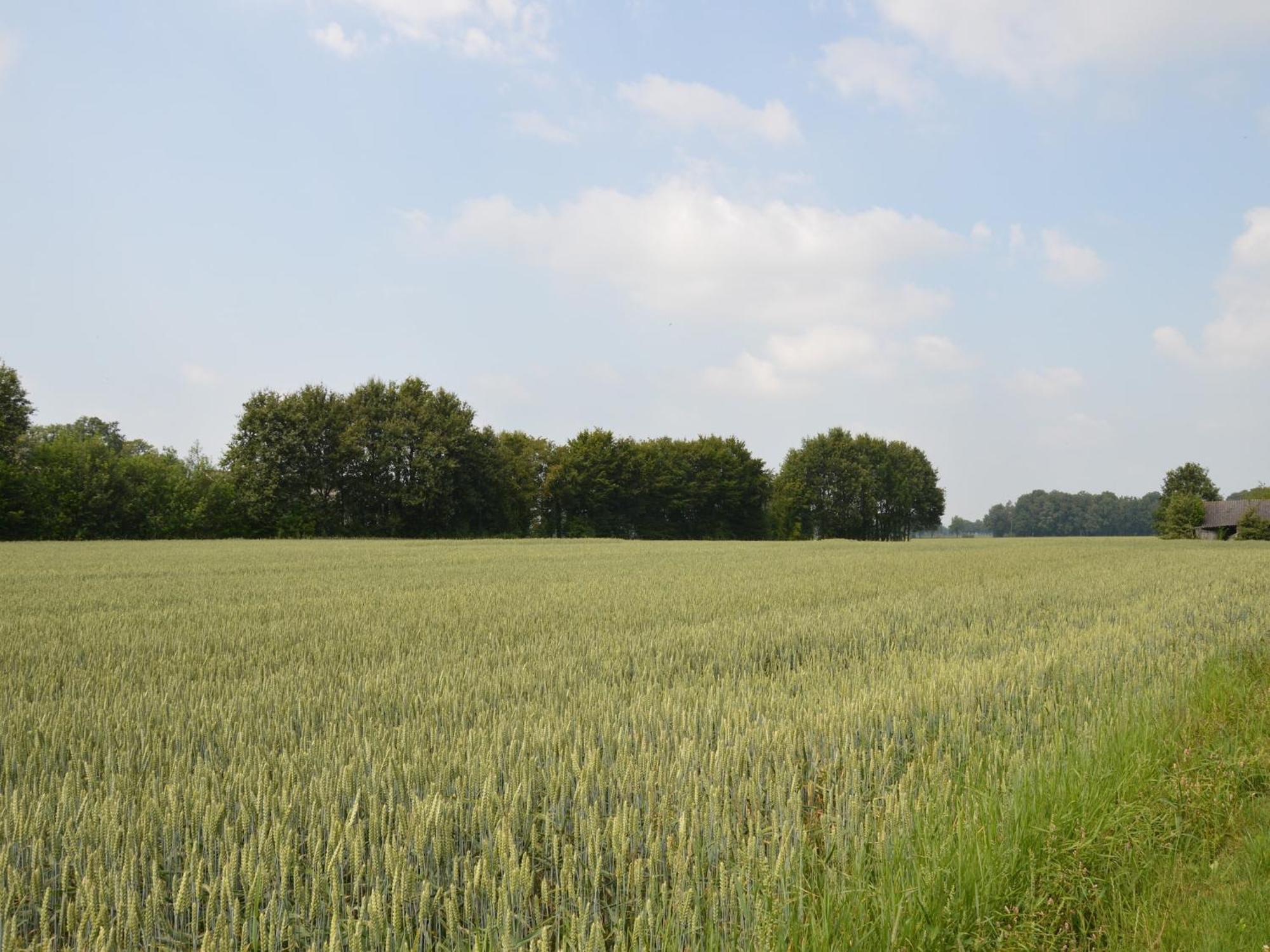 Quaint Farmhouse In Geesteren With Meadow View Exteriör bild