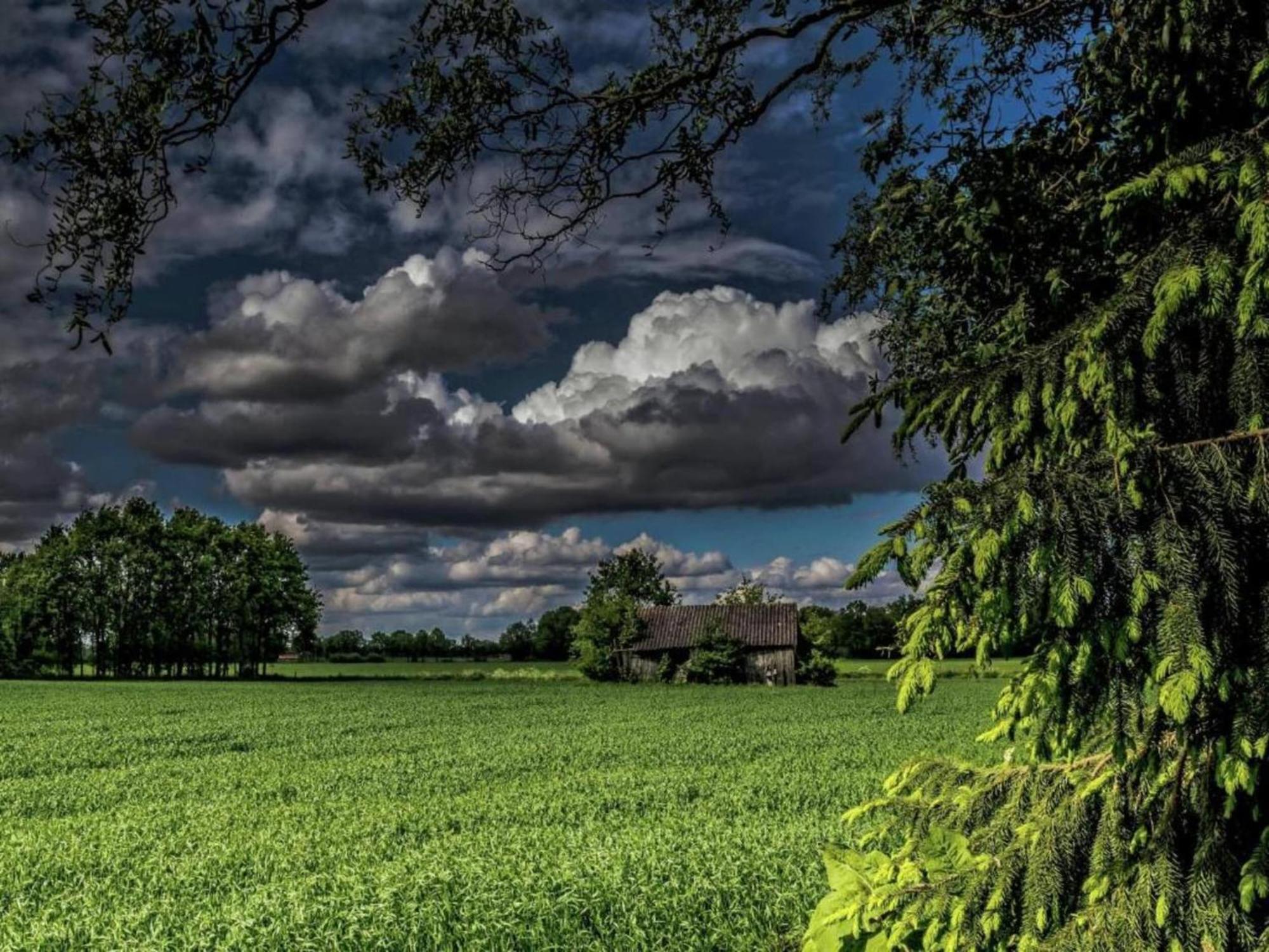 Quaint Farmhouse In Geesteren With Meadow View Exteriör bild